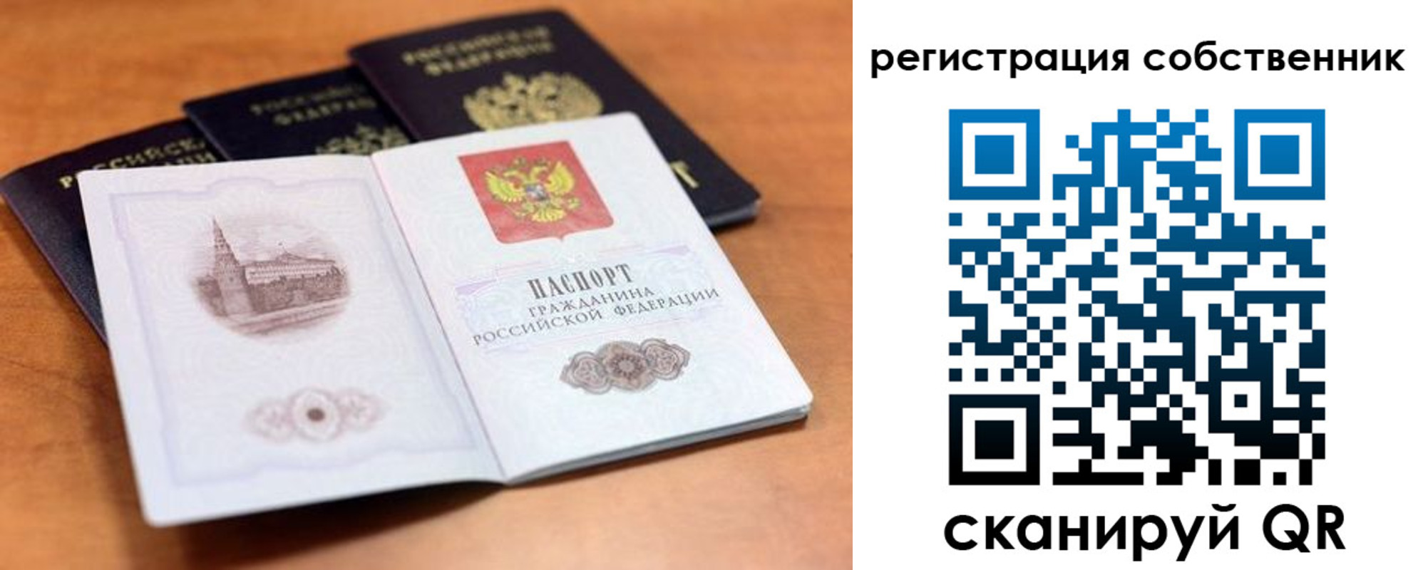 прописка поиск в Зиме